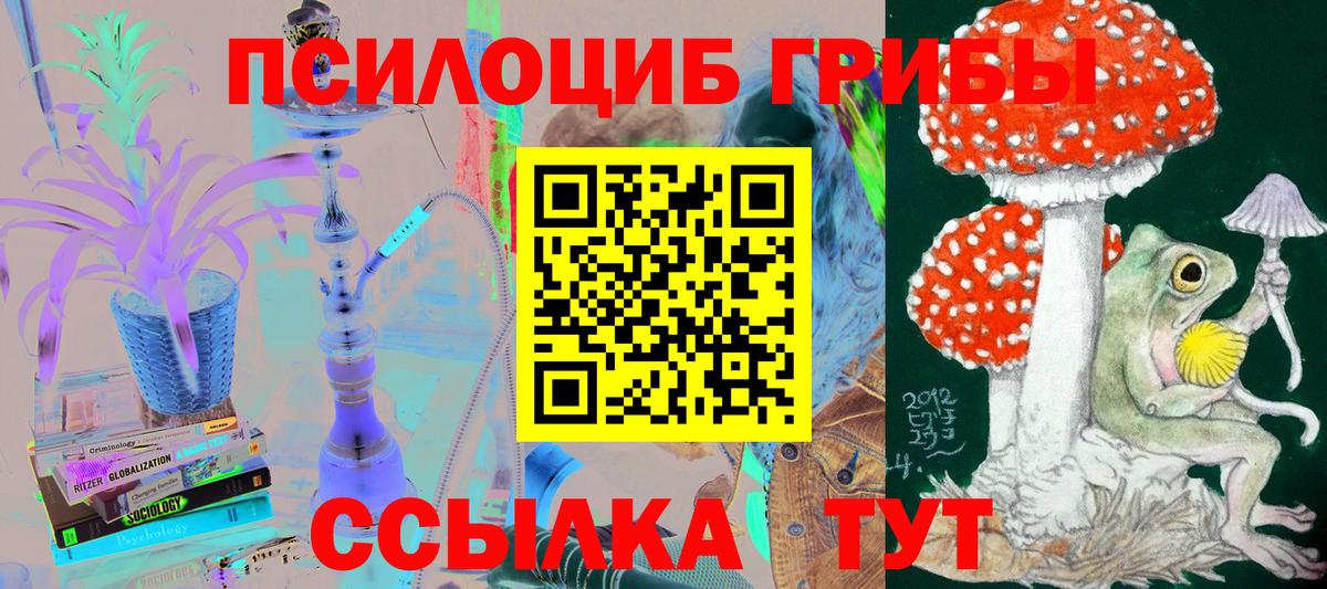 Галлюциногенные грибы Psilocybine cubensis Кирово-Чепецк