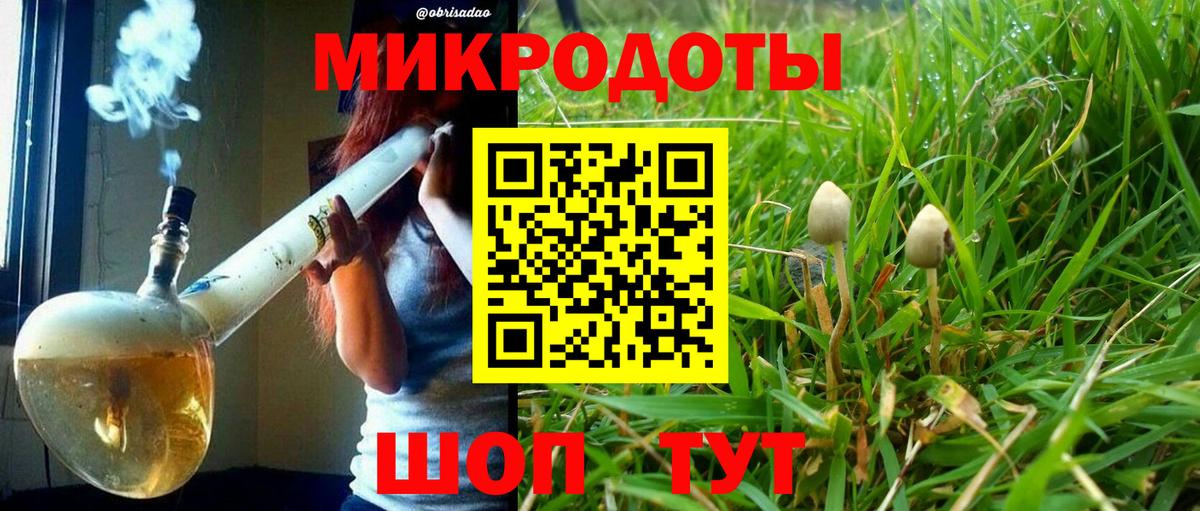 Галлюциногенные грибы GOLDEN TEACHER  наркота  Вход с VPN  Кирово-Чепецк  Псилоцибиновые грибы MAGIC MUSHROOMS 